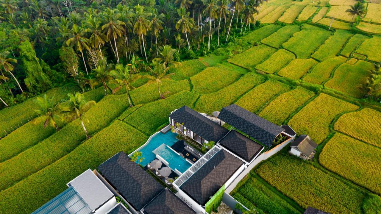 Villa Mia By Balisuperhost Ubud Exterior foto